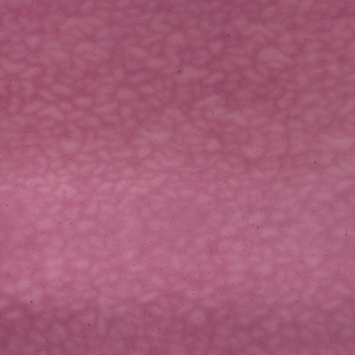 English Muffle 134 transp. violet