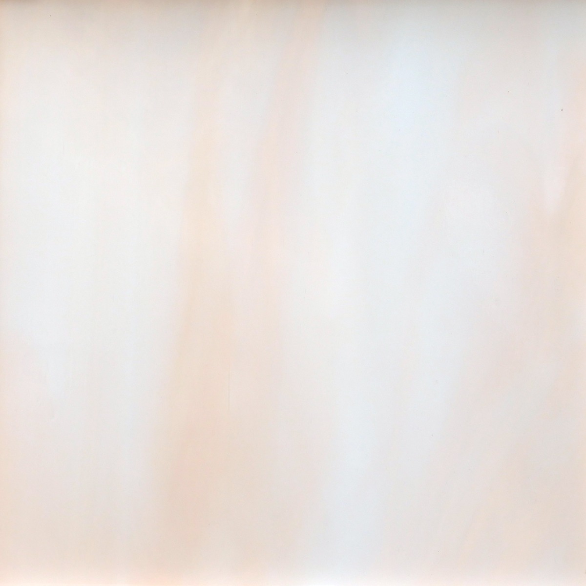 891-81f champagne 