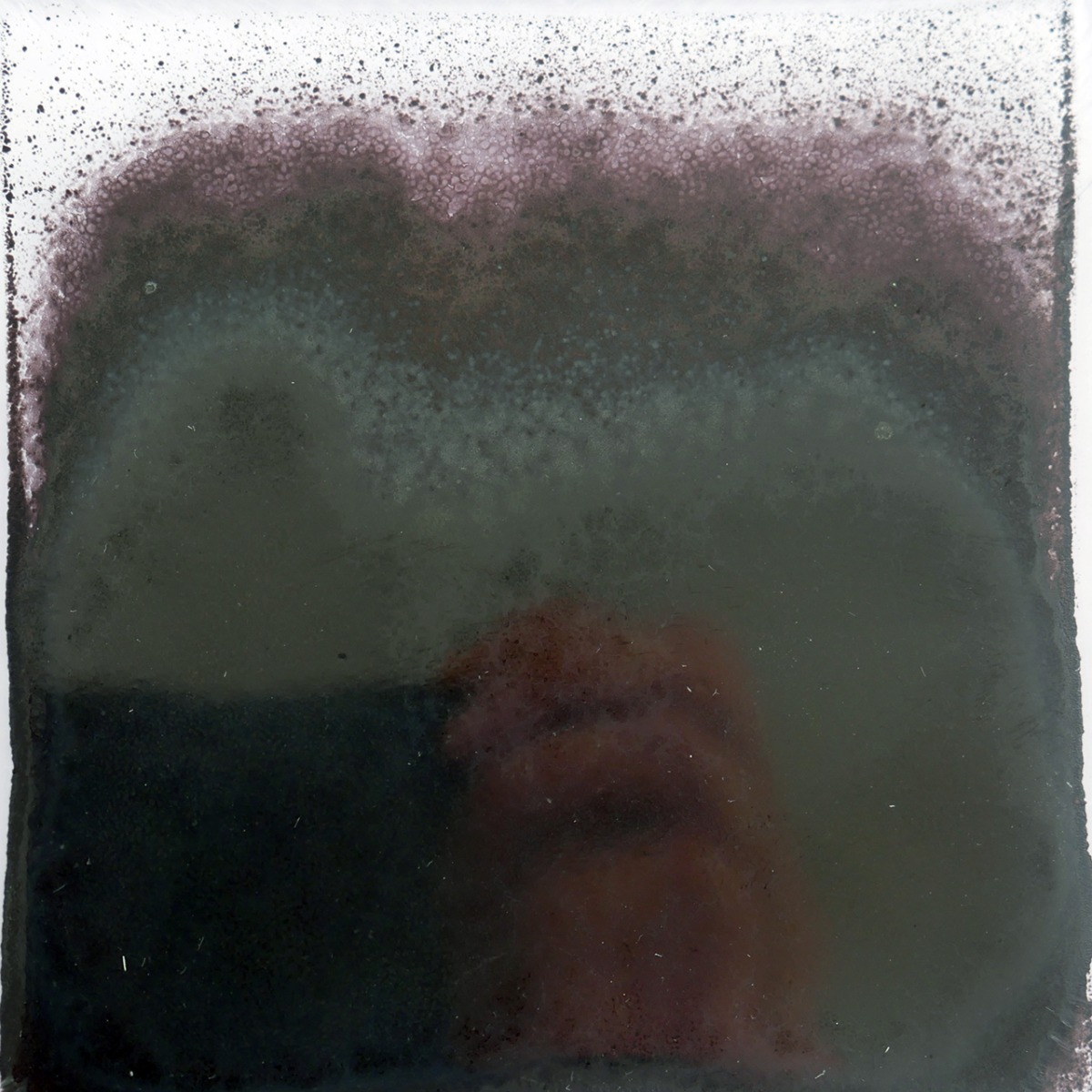 FF-BF 0026 Brilliant Black transp. 