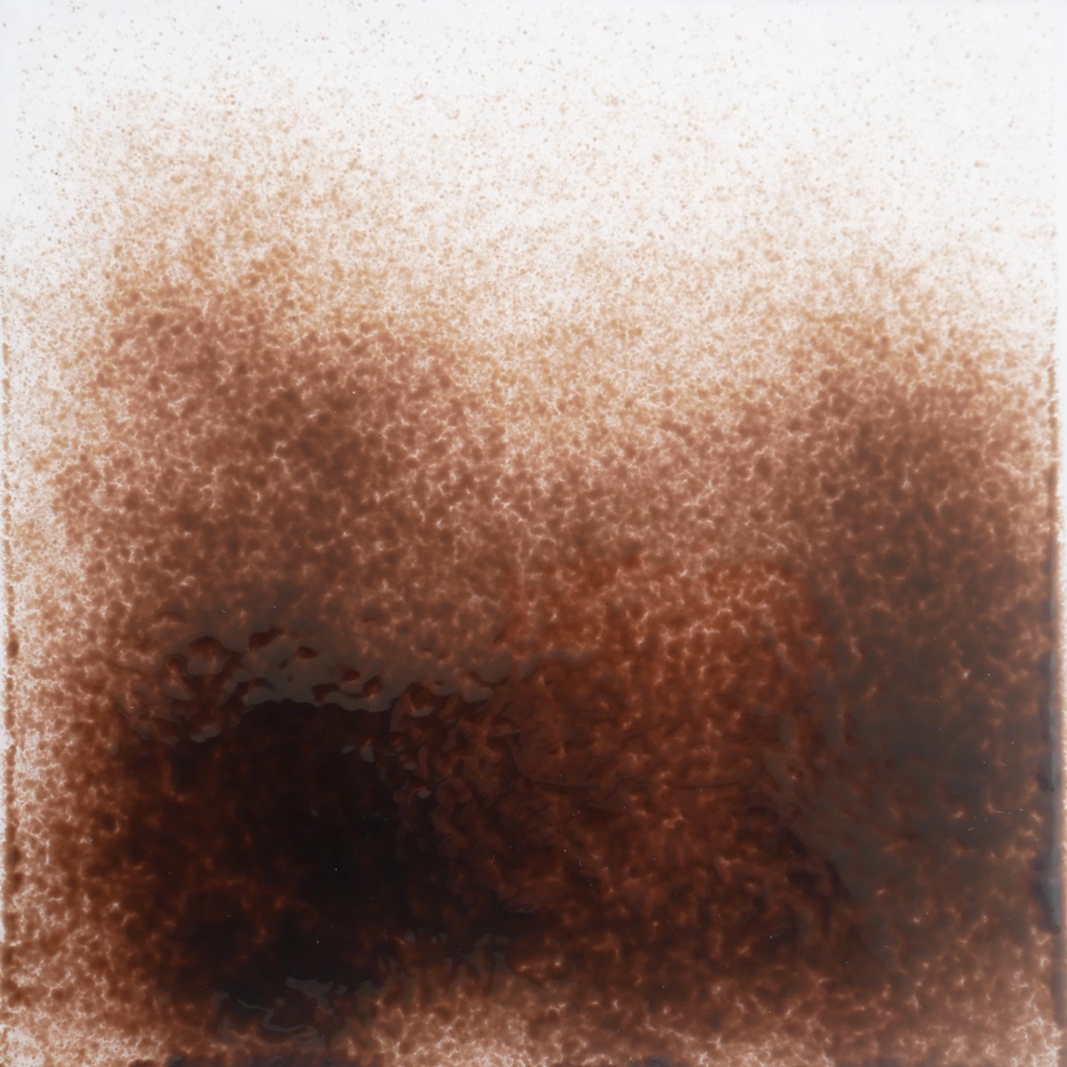 FF-BF 0105 deer brown transp.