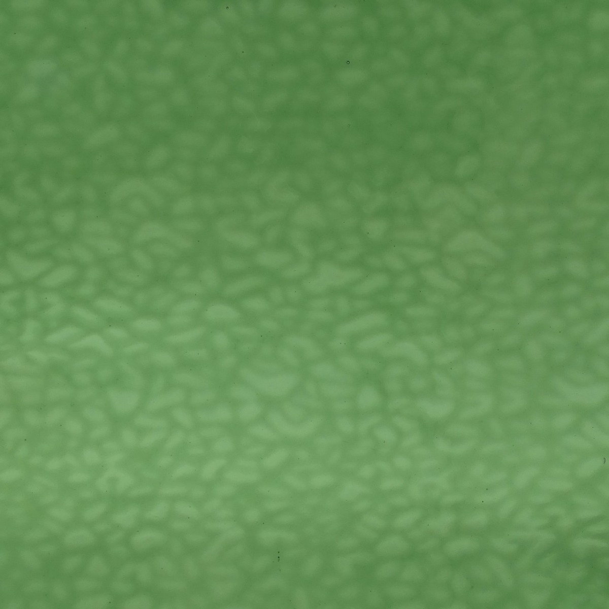 English Muffle 287  Olive Green Transp. 