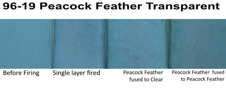 96-19 Peacock feather Transp.