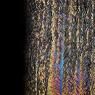 Black Herringbone Ripple, Iridescent 0100-25