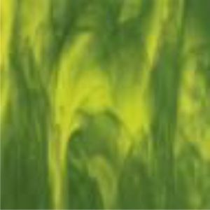 2121-00 Yellow Opal, Deep Forest Green 