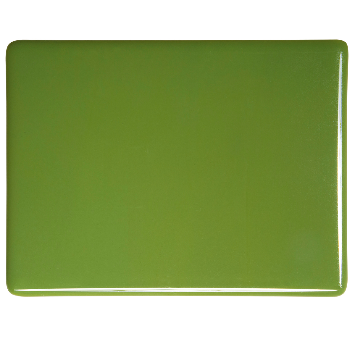  0212-30 Olive Green