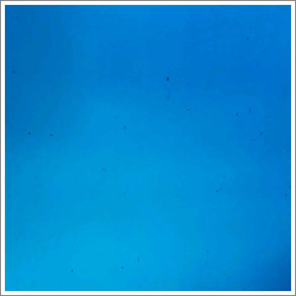 96-43 Turquoise  Blue Transparent 
