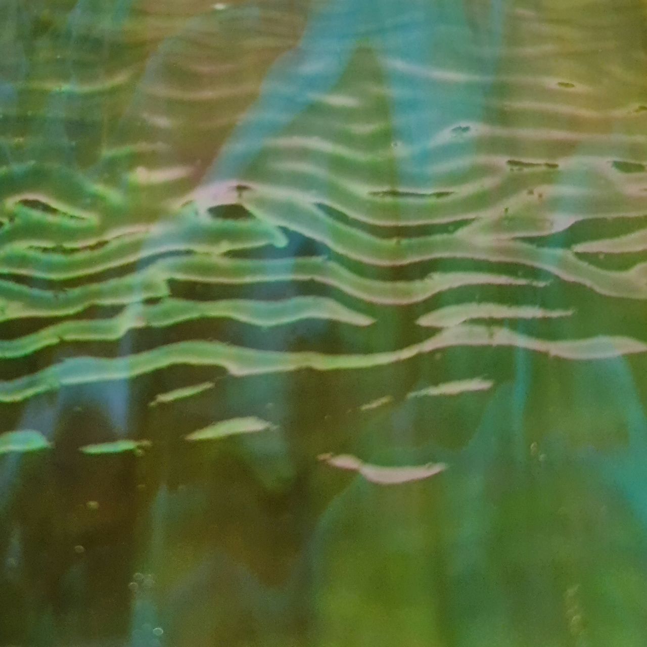 7101R opal green, turquioise ripple iridiscent 