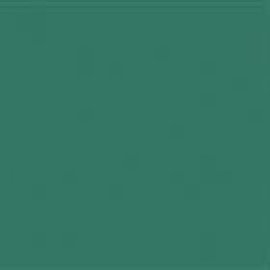 16930 accent groen 33 