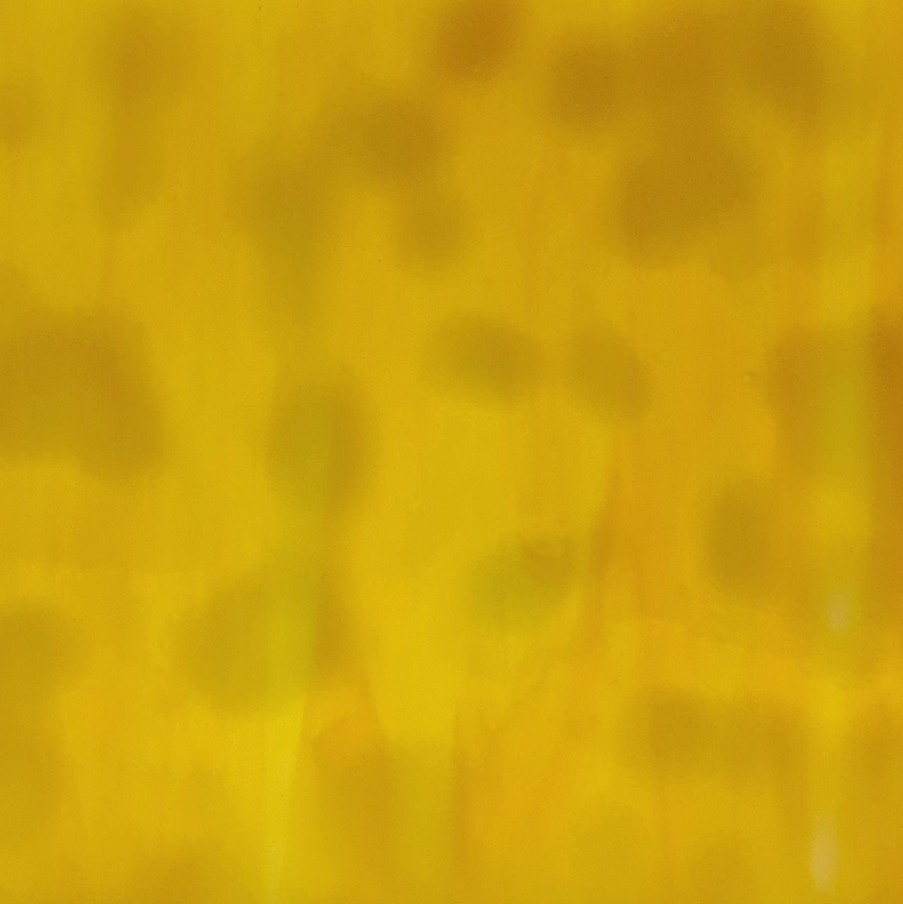 3002m opal yellow white 