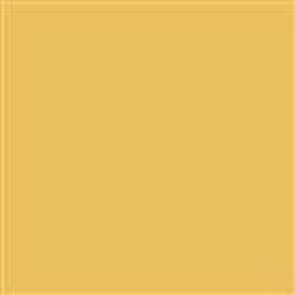 19950 golden yellow 76 