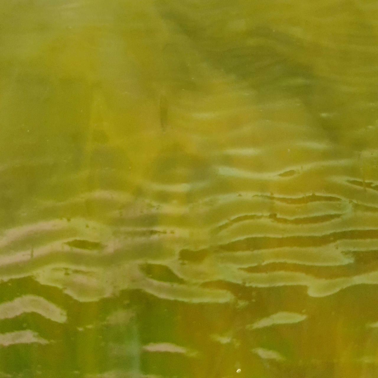 7092r opal yellow limegreen ripple iri. 