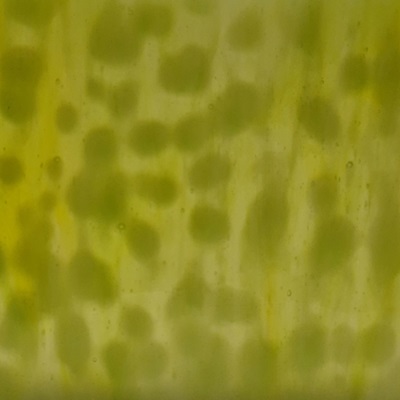 7037m neon yellow or green white 