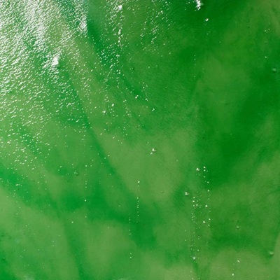 mr4013s  Iced white, green 