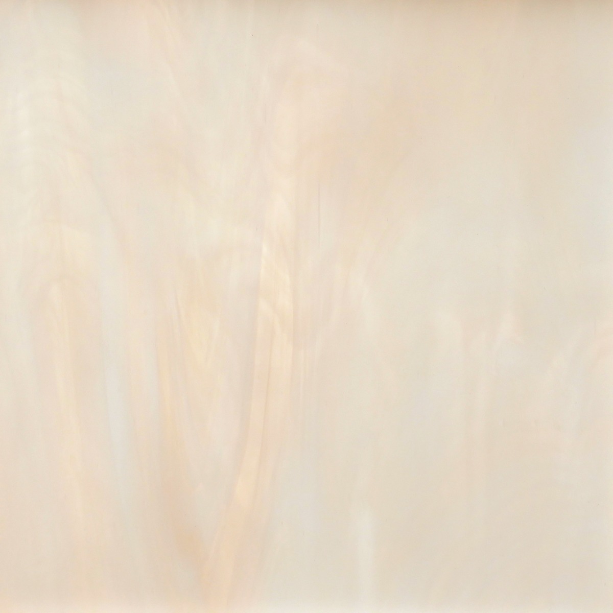 891-81f champagne 