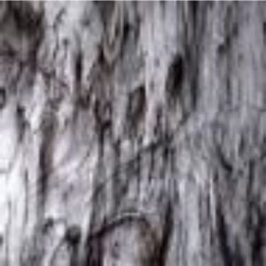 2100-30 Clear, Black 2-Color  