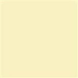 18960 patel yellow 25 