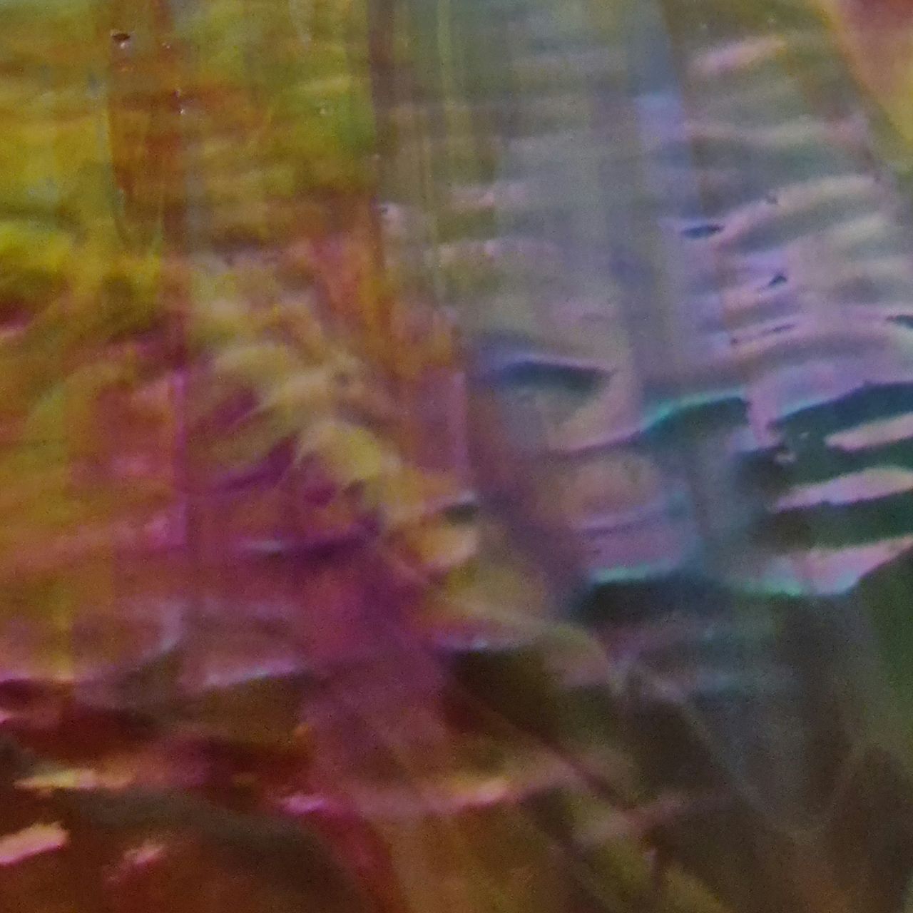 7097r opal red yellow turquoise ripple iri. 