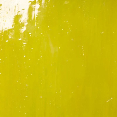 mr3000s sunflower yellow  opal 