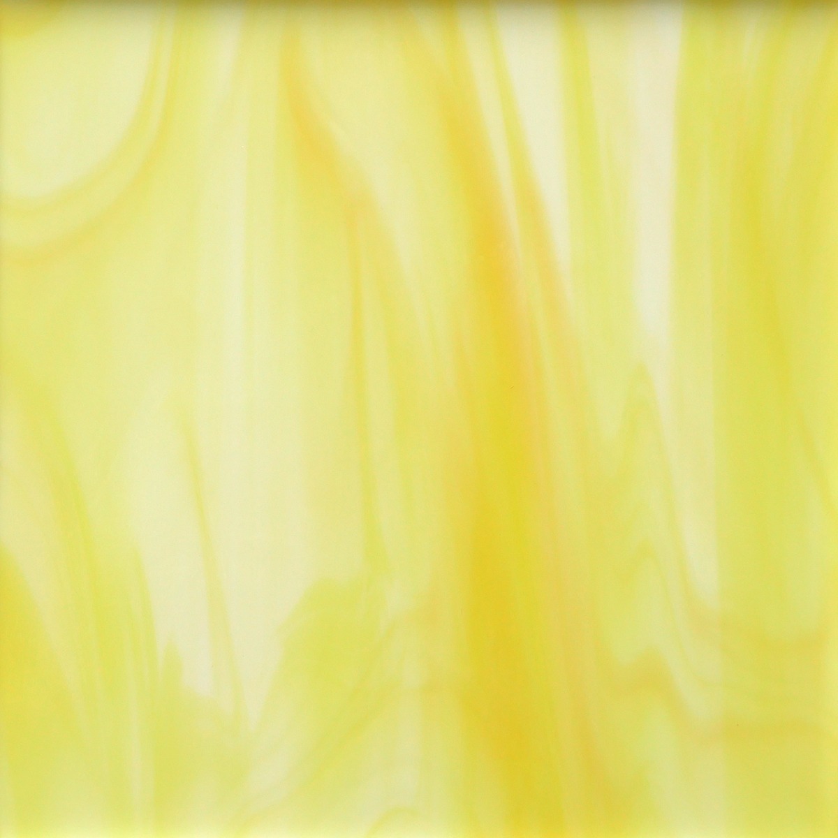 365-1f White/Yellow .