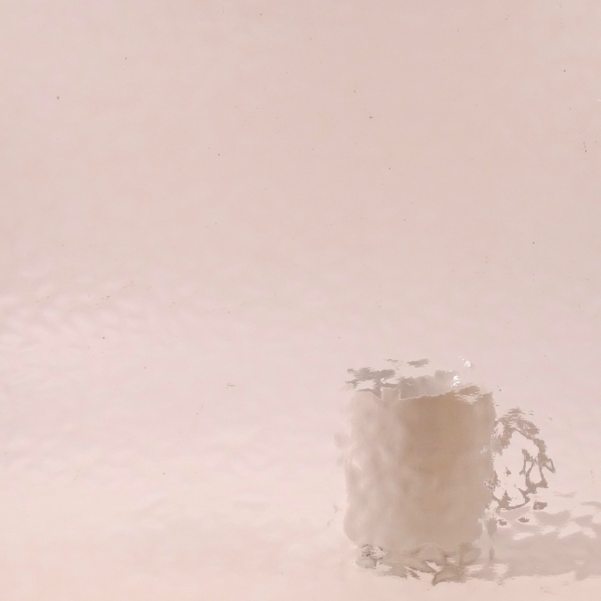 English Muffle 568 transp. Champagne 