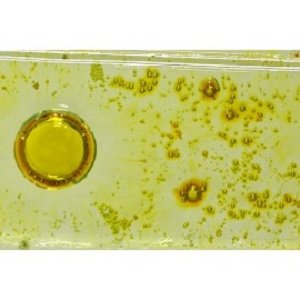 51 bellenpoeder yellow