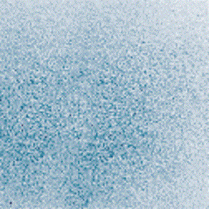 F1 078-96 Paynes Gray Opal 