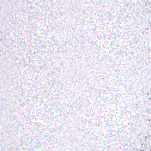 F1 142-96sf light purple transparent