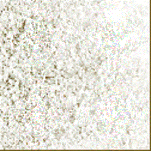 F2 2101-96sf ivory opal