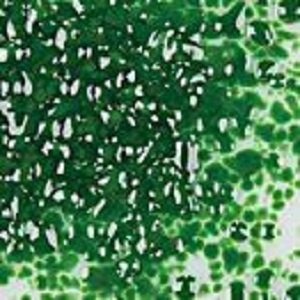 F2 2206-96sf dark green opal