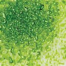 F1 526-2-96sf moss green