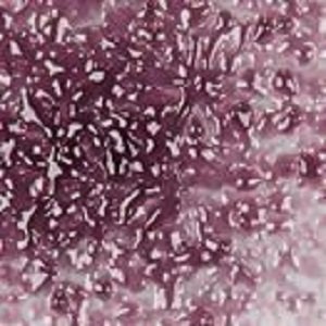 F2 5432-96sf grape transparent