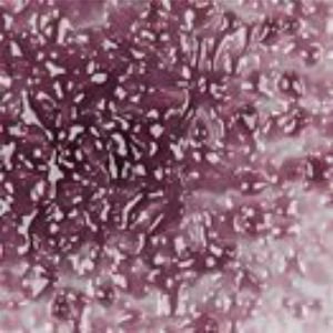 F2 5342-96sf violet transparent