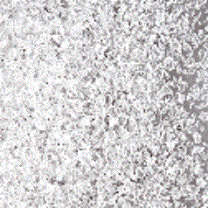 F3  00-96sf clear