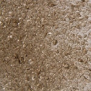 F3 5181-96sf bronze  transparent