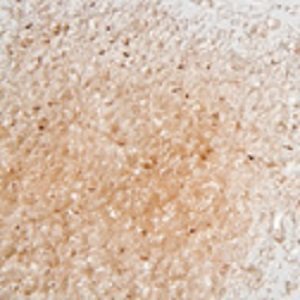F3 5911-96sf champagne  transparent