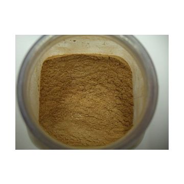 hot pigment gold 50 gr