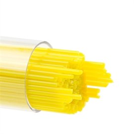 1 Sunflower Yellow 0220