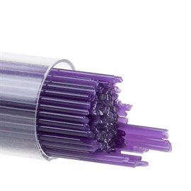 1 Gold Purple  0334