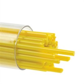 2 Sunflower Yellow 0220