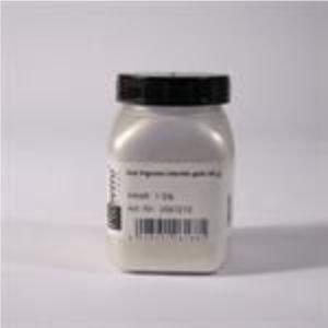 hotpigment silver 50gr