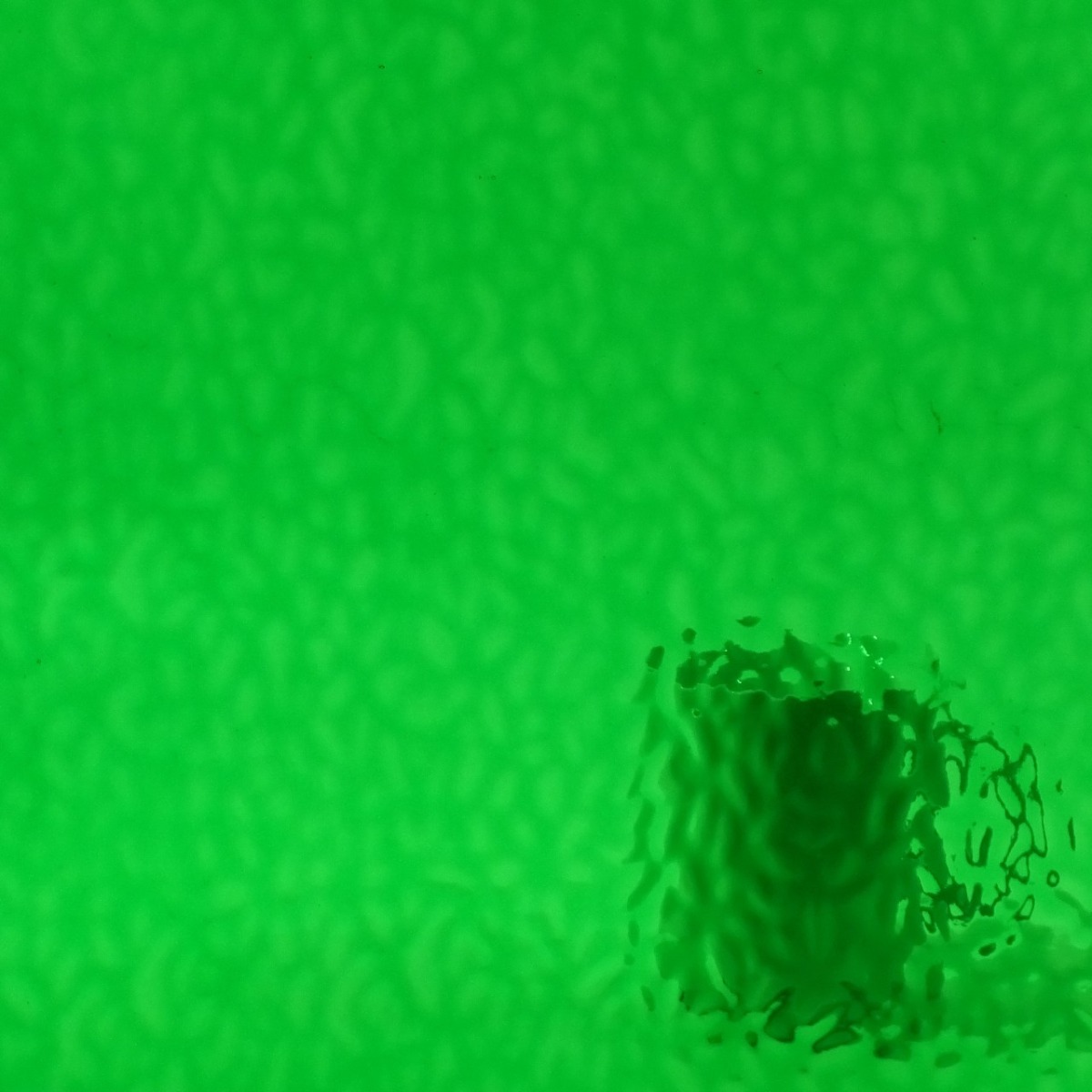 eng. Muffle 343 Medium Green transp. 