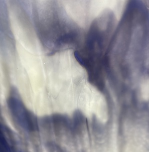 B1004 opaak wit/blauw/violet  afmeting +/- 29x25cm 