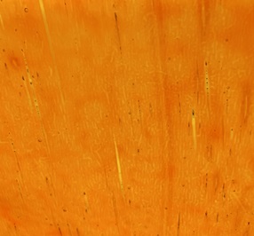 18LLL mystic transp. pumpkin-orange 