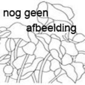 warmhoudmat glassverffusing