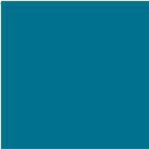 transfer turkisch blauw 43