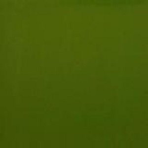 96-4003 fern green opal